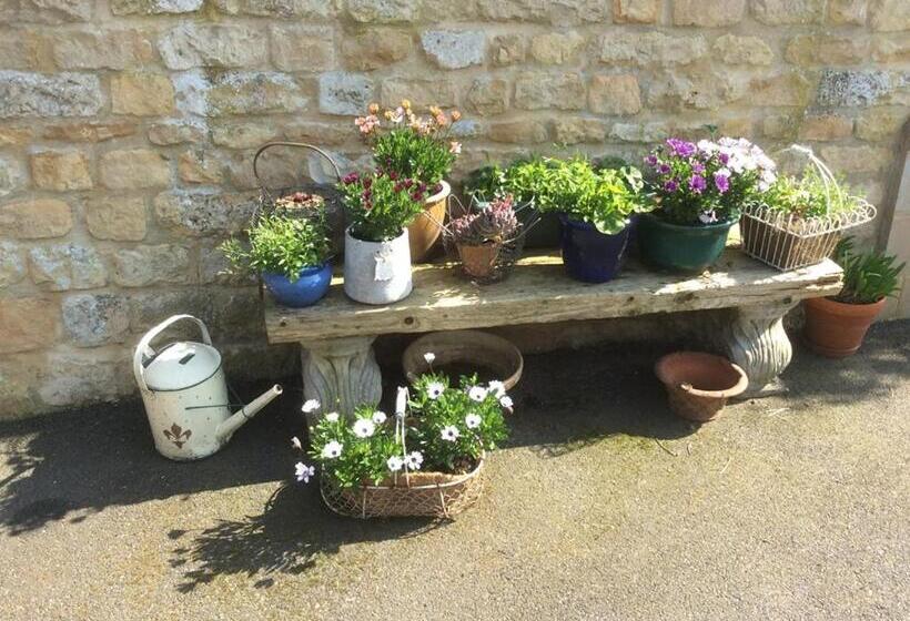 Bed and Breakfast Broccoli Bottom