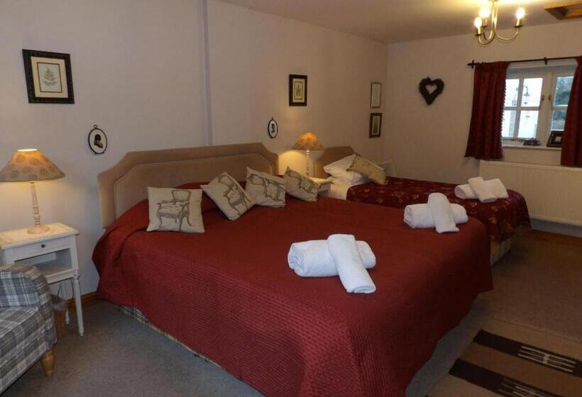 Bed and Breakfast Broccoli Bottom