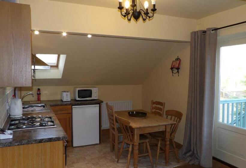 Bed and Breakfast Broccoli Bottom