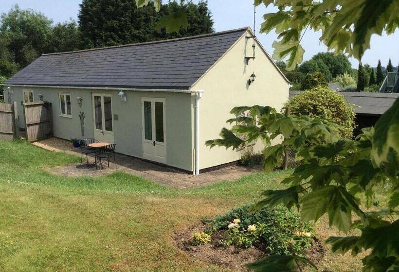 Bed and Breakfast Broccoli Bottom