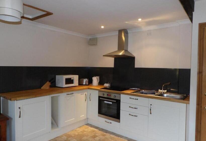 Bed and Breakfast Broccoli Bottom