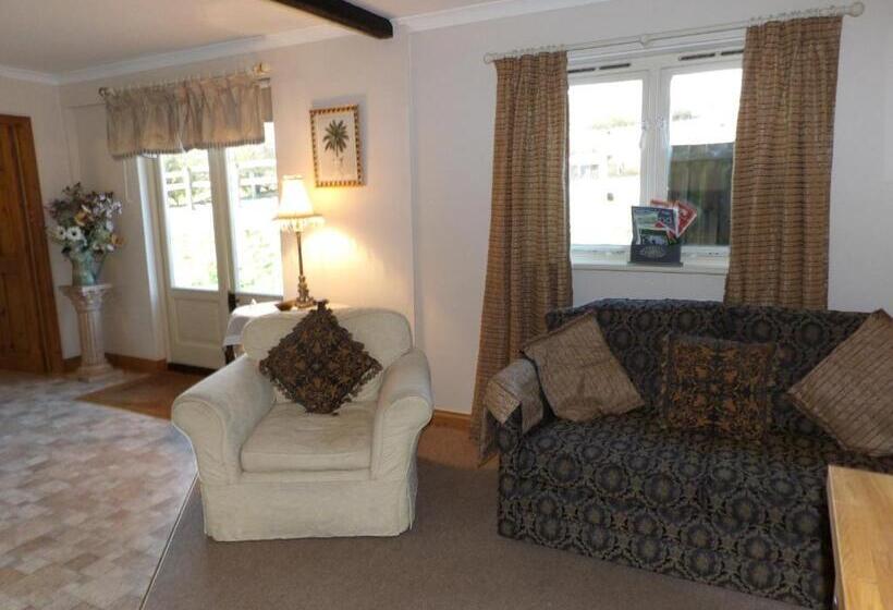 Bed and Breakfast Broccoli Bottom