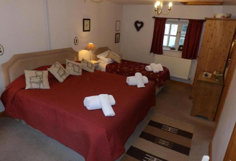 Bed and Breakfast Broccoli Bottom