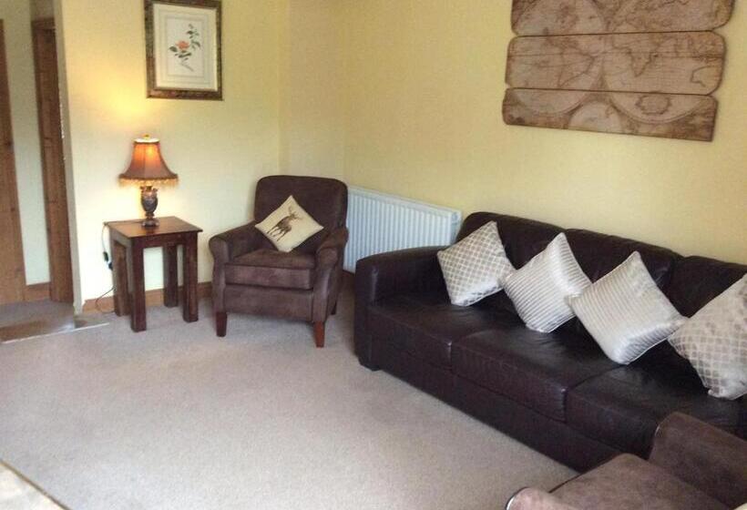 Bed and Breakfast Broccoli Bottom