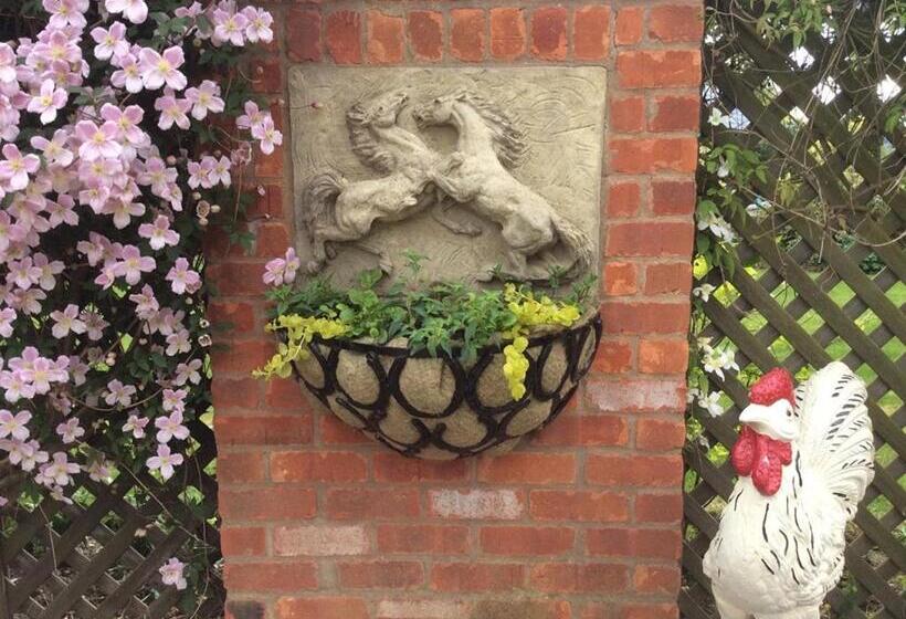 Bed and Breakfast Broccoli Bottom