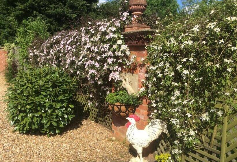 Bed and Breakfast Broccoli Bottom