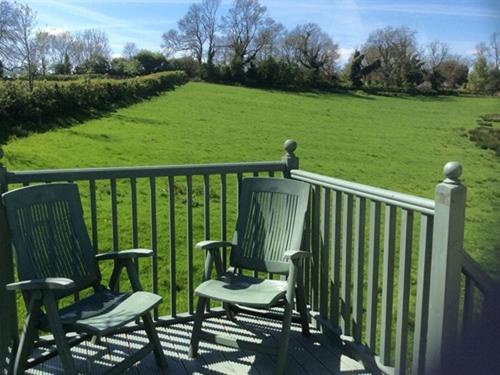 Bed and Breakfast Broccoli Bottom