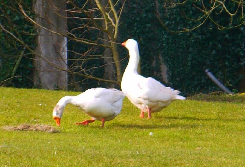 住宿加早餐  Burton Farmhouse