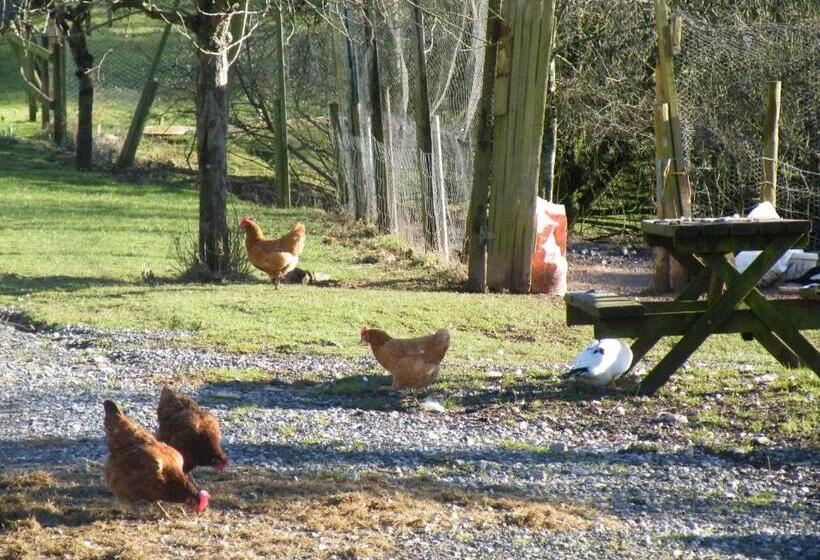 住宿加早餐  Burton Farmhouse