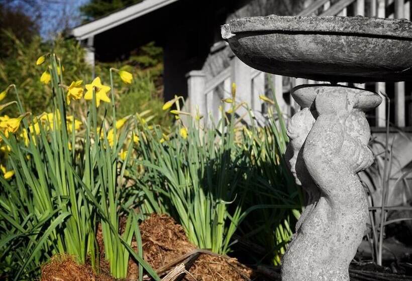 ベッドアンドブレックファースト Cherryhill Lodge