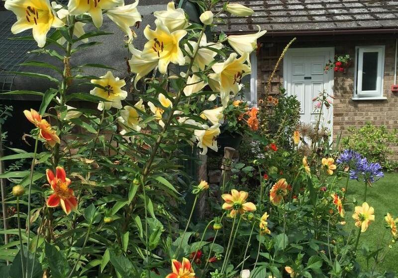 Bed and Breakfast Fairlight Lodge