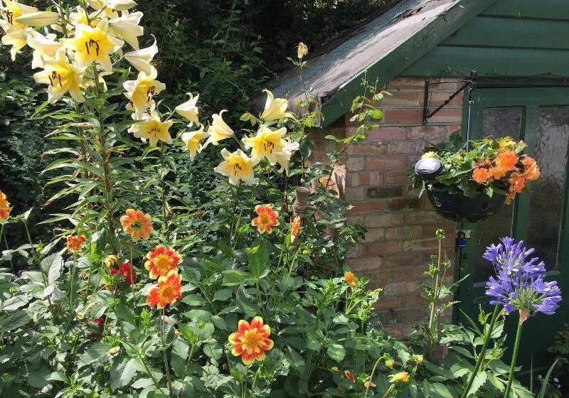 Bed and Breakfast Fairlight Lodge