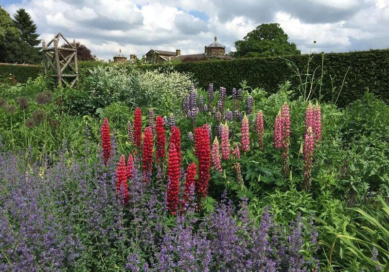 Bed and Breakfast Fairlight Lodge