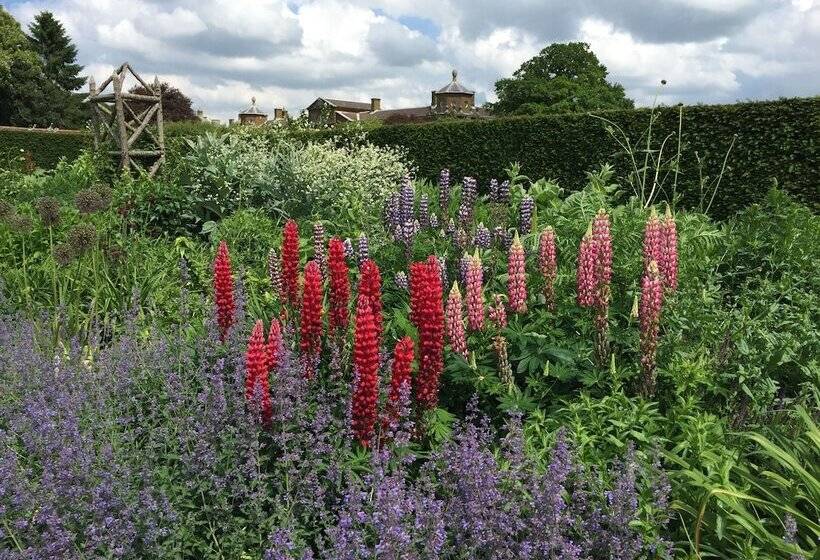 Bed and Breakfast Fairlight Lodge
