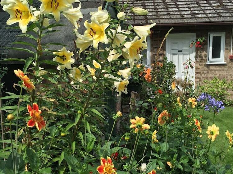 Bed and Breakfast Fairlight Lodge