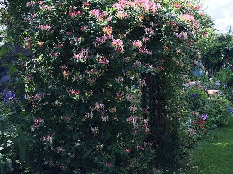 Bed and Breakfast Fairlight Lodge