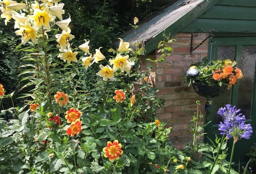 Bed and Breakfast Fairlight Lodge