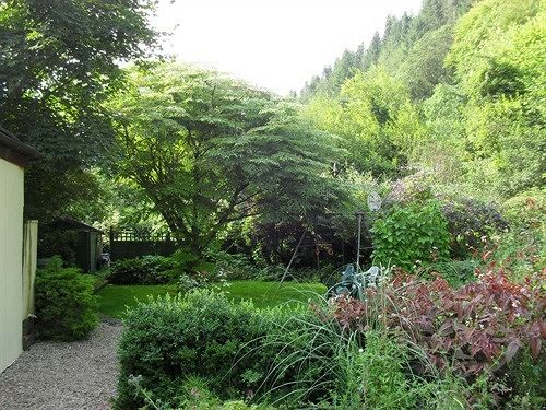 住宿加早餐  Ferndale House