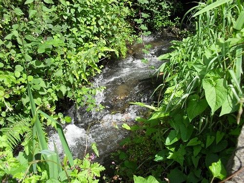 住宿加早餐  Ferndale House