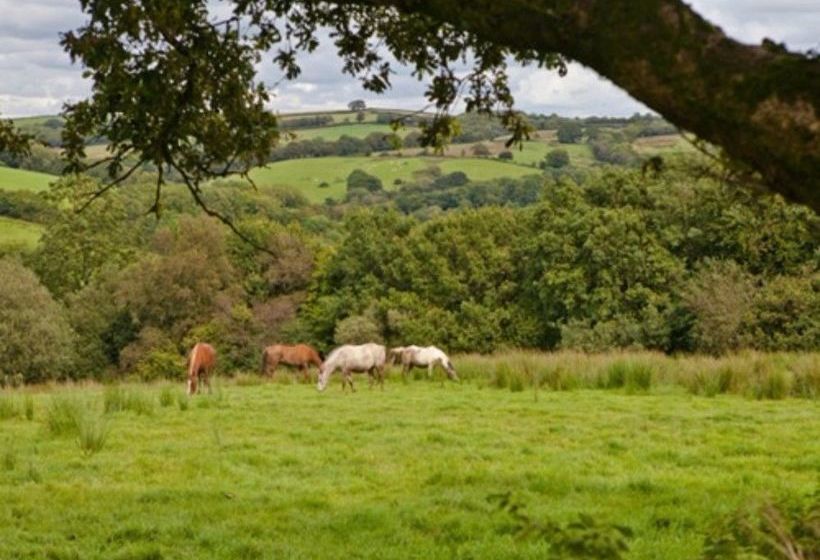 צימר Fernside Cottage