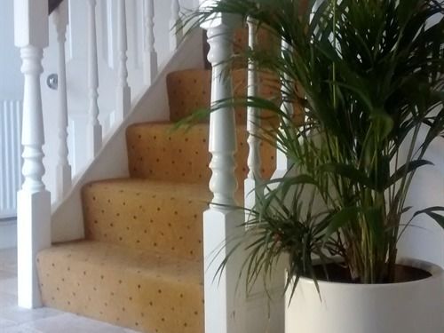 مبيت وإفطار Jessamine House