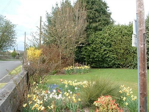 مبيت وإفطار Kelson Lodge