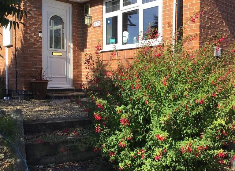 تختخواب و صبحانه Little Lodge