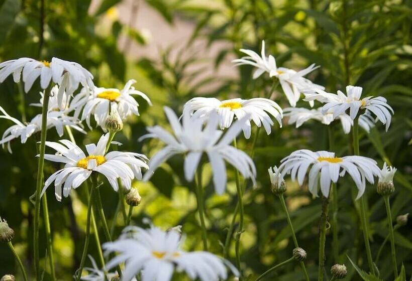 Bed and Breakfast Magpies Lodge