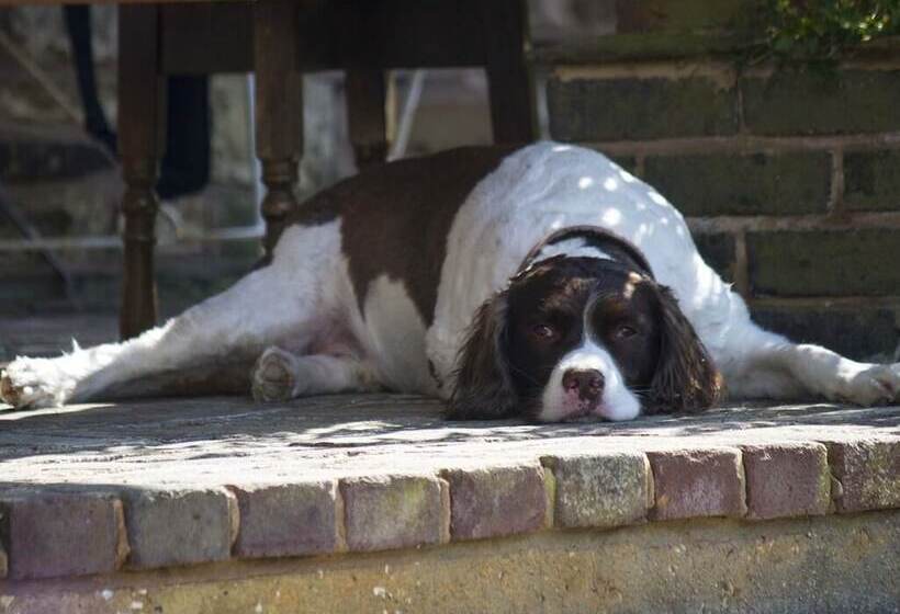 Bed and Breakfast Magpies Lodge