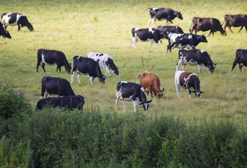 Bed and Breakfast Magpies Lodge