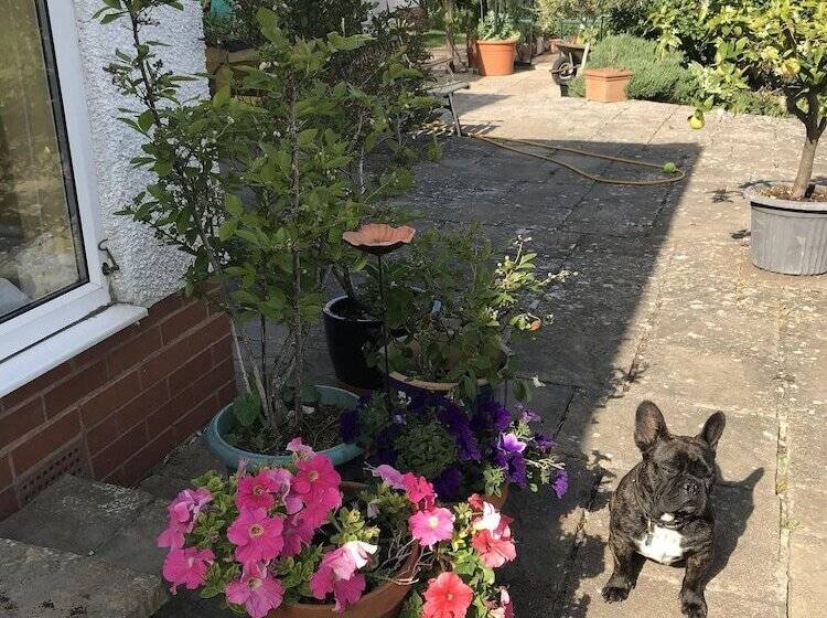 ベッドアンドブレックファースト Shakespeare's View