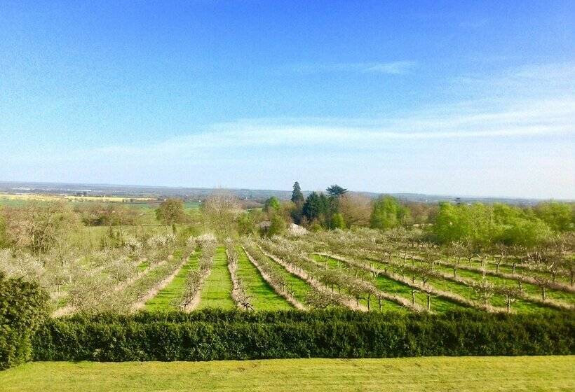 ベッドアンドブレックファースト Shakespeare's View