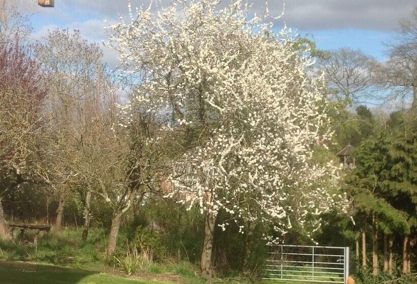 ベッドアンドブレックファースト Shakespeare's View