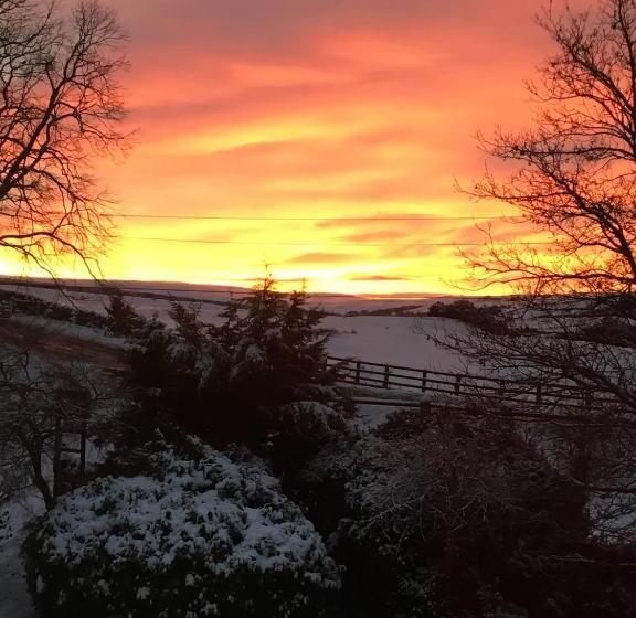 Bed and Breakfast The Burnside