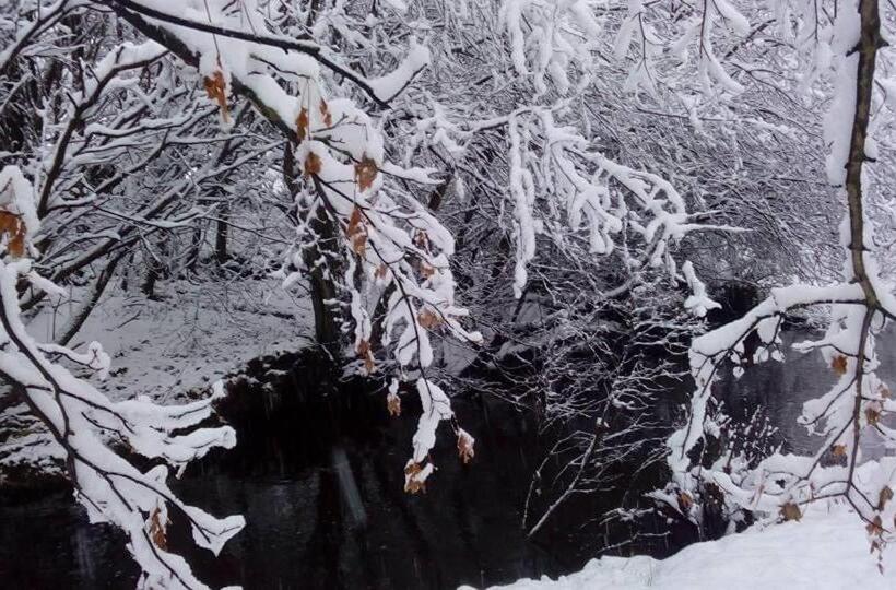 Bed and Breakfast The Burnside