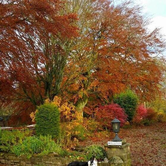 Bed and Breakfast The Burnside