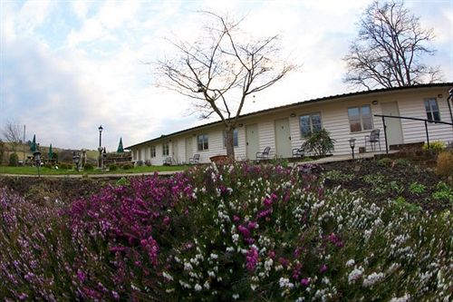 Bed and Breakfast The Live And Let Live