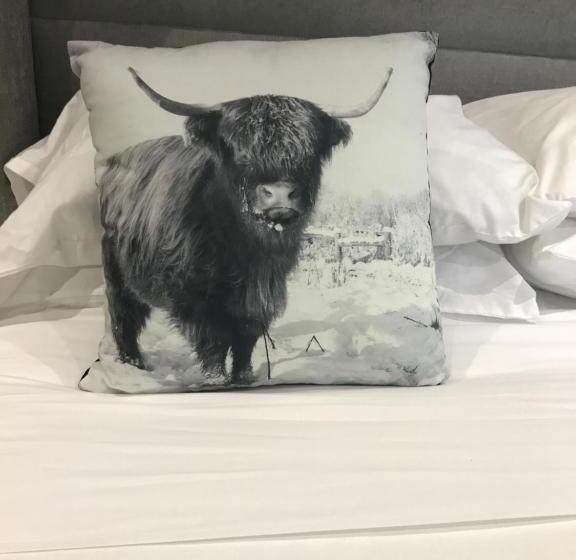 בית מלון כפרי The Bulls Head