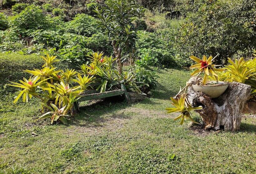 酒店 Condominio Shallon Adonai