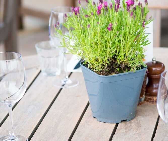 ホテル Derby Arms