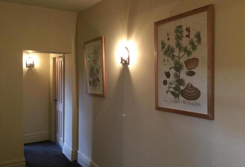 ホテル Derby Arms