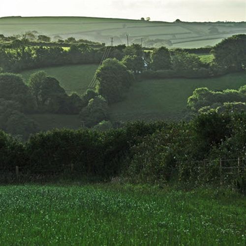 ホテル Dorset Farm