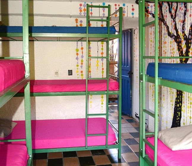 Отель El Misti Hostel Ilha Grande