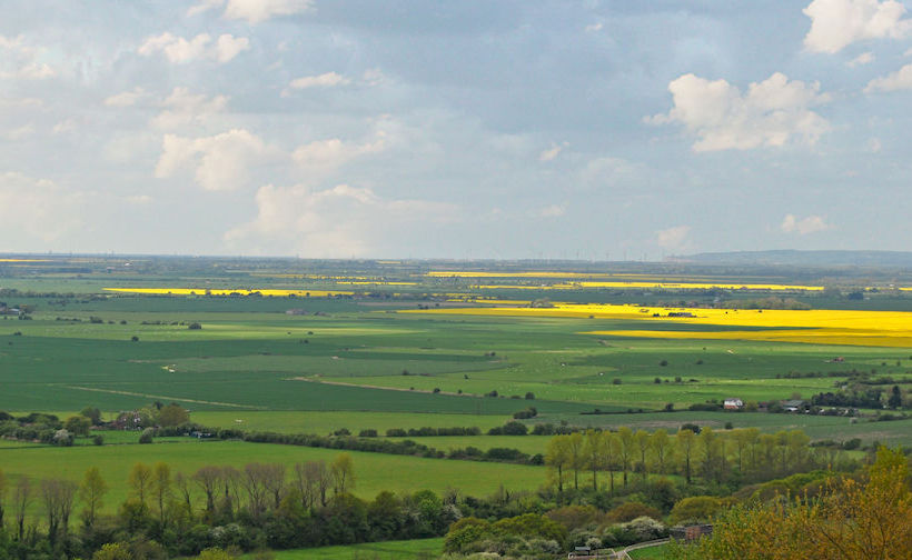 Отель Bear Lodge   Glamping