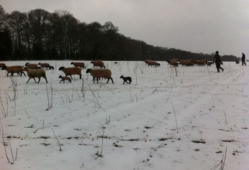 فندق Grove Farm Direct