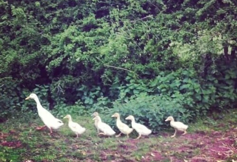 فندق Grove Farm Direct