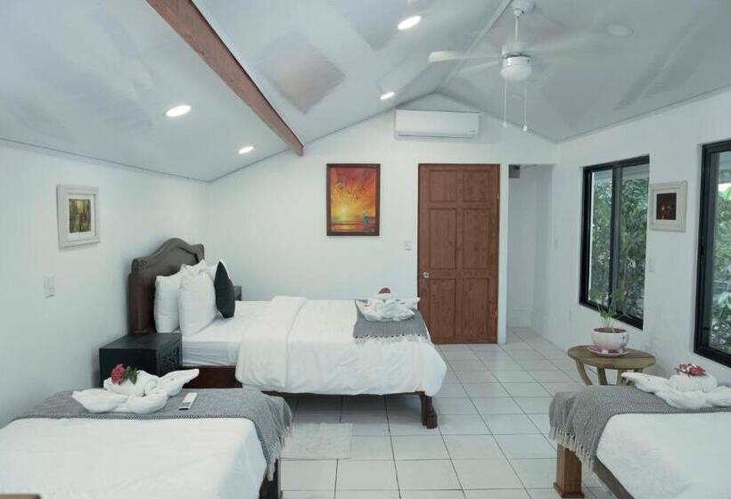 ホテル Jungle S Edge