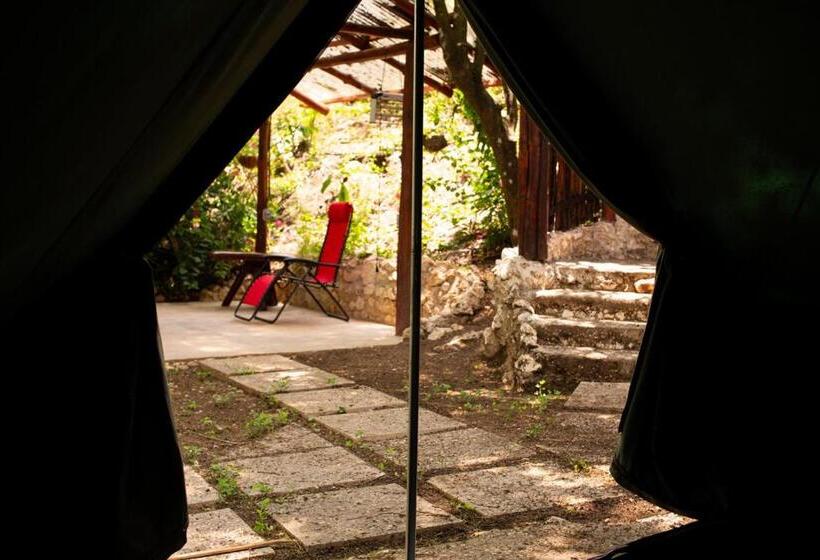 ホテル Jungle S Edge