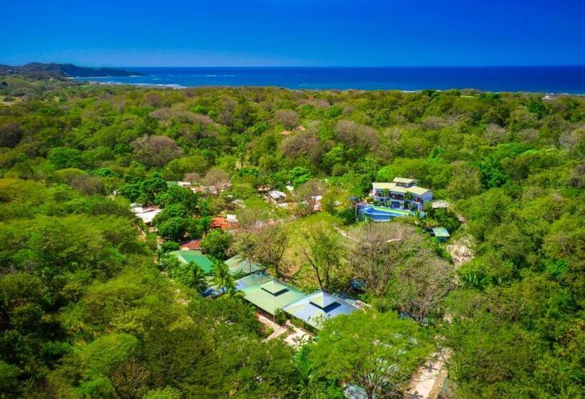 ホテル Jungle S Edge