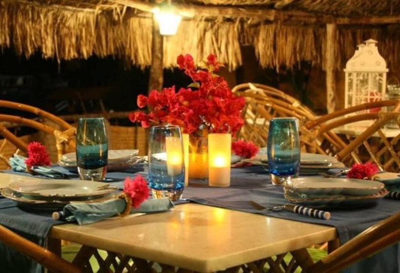 ホテル Pousada Oásis